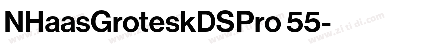 NHaasGroteskDSPro 55字体转换 NHaasGroteskDSPro 55字体转换